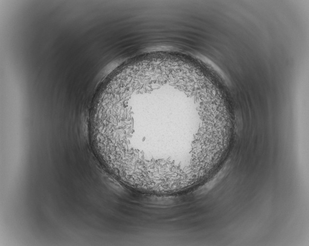 X0000111850921200908131436