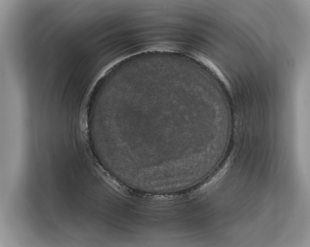 X0000111850923200908131436