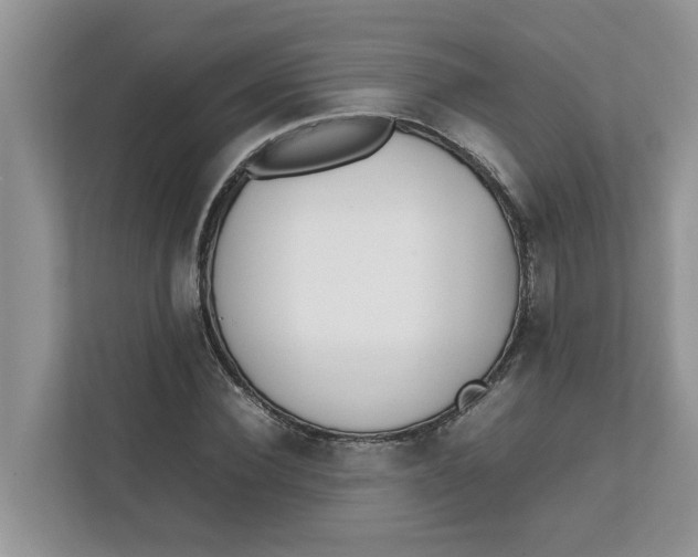 X0000111850924200908131436