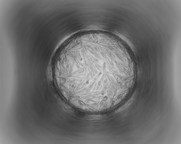 X0000111850925200908131436