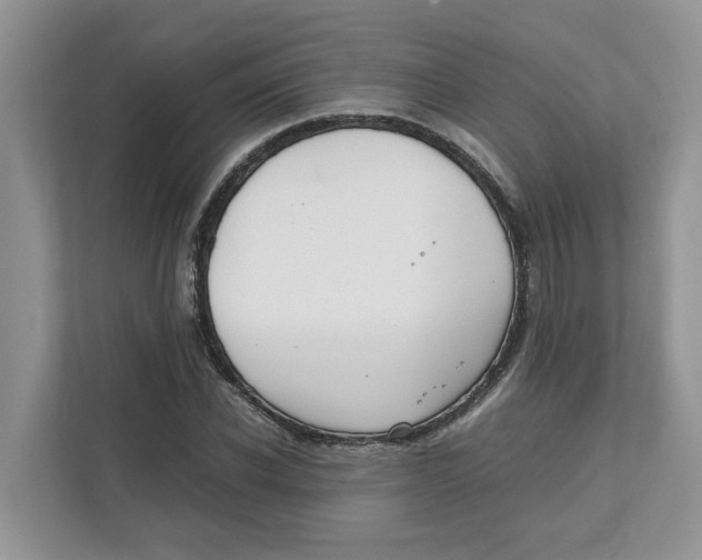 X0000111850926200908131436