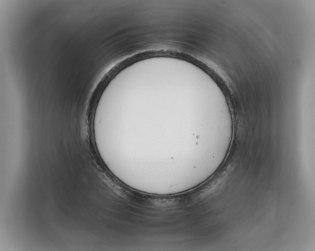 X0000111850927200908131436