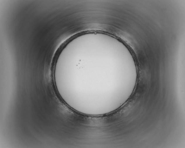 X0000111850928200908131436