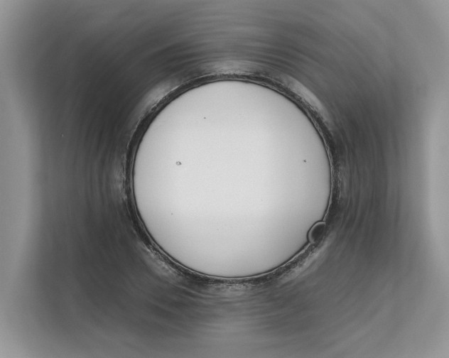 X0000111850930200908131436