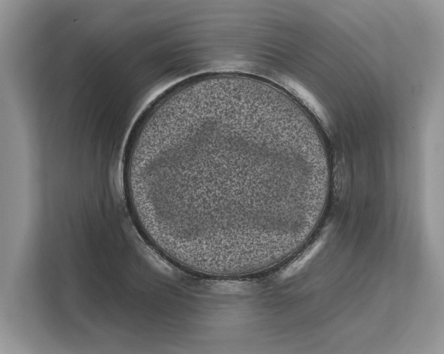 X0000111850932200908131436