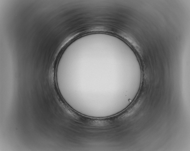 X0000111850933200908131436