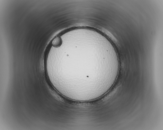 X0000111850934200908131436