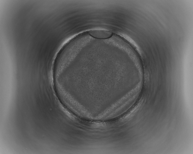 X0000111850935200908131436