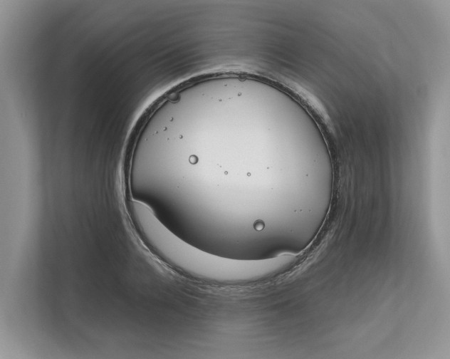 X0000111850936200908131436