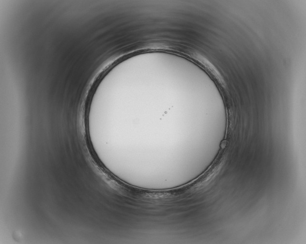 X0000111850939200908131436