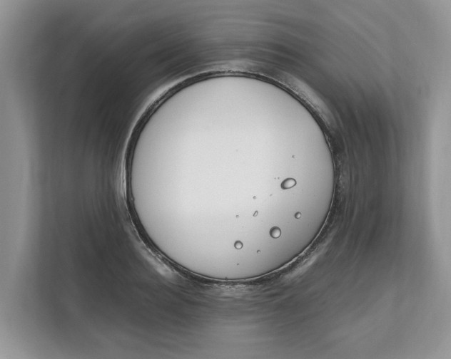 X0000111850940200908131436