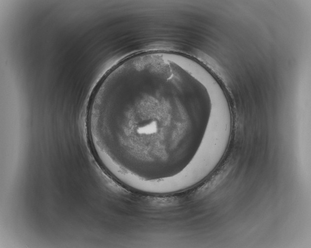 X0000111850941200908131436