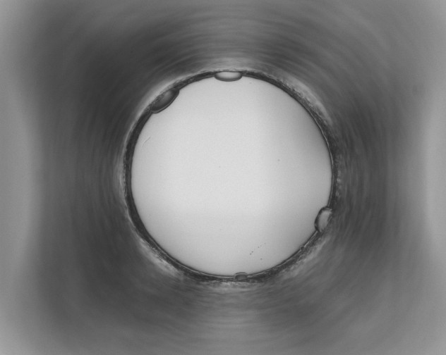 X0000111850942200908131436