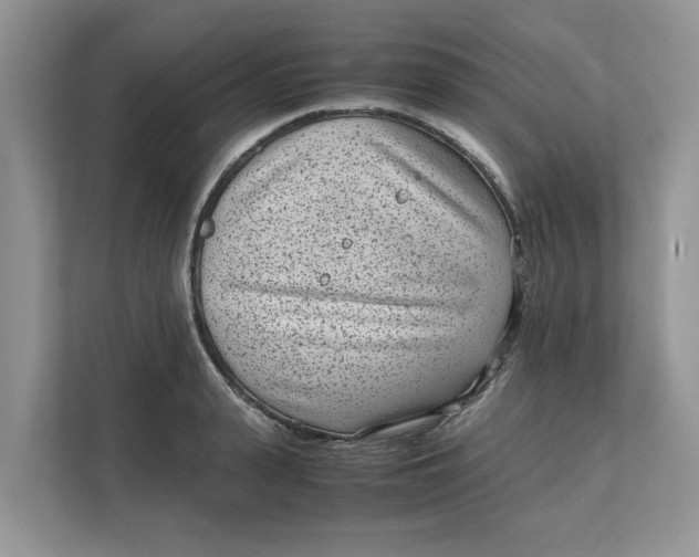 X0000111850943200908131436