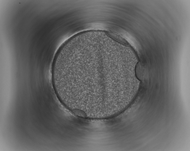 X0000111850944200908131436