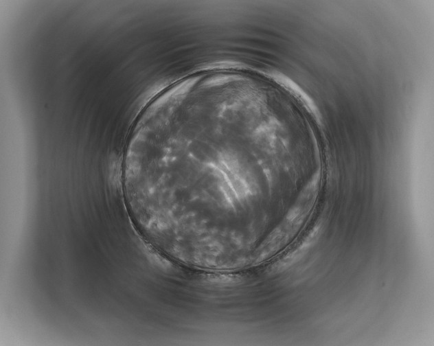 X0000111850945200908131436