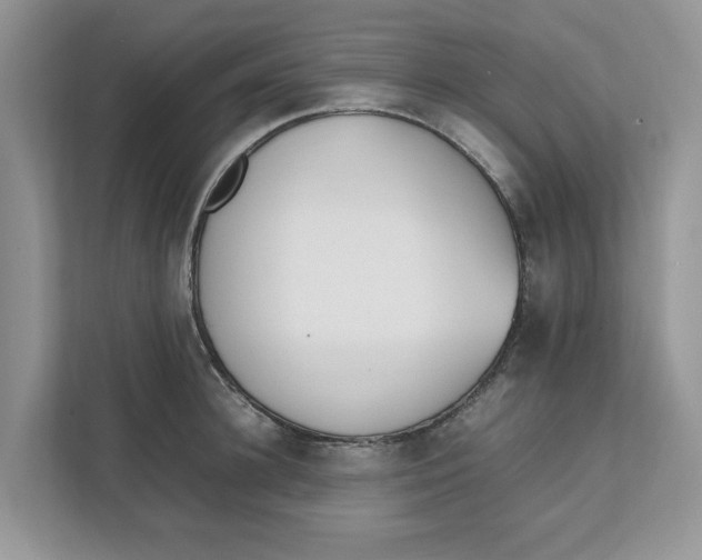 X0000111850948200908131436