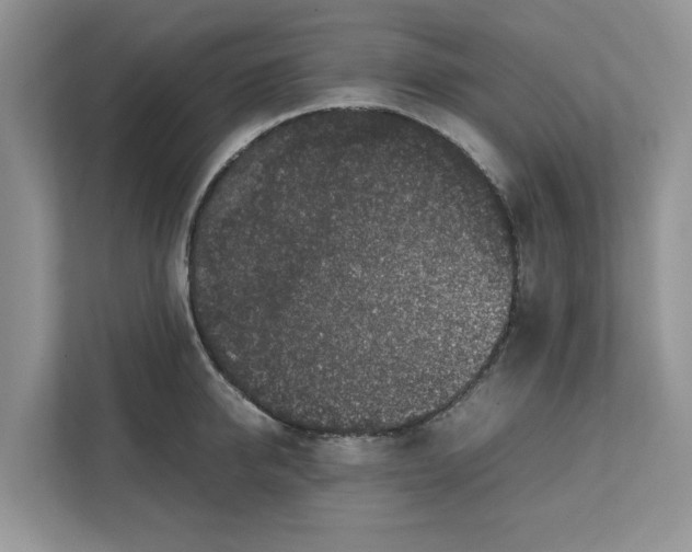 X0000111850950200908131436