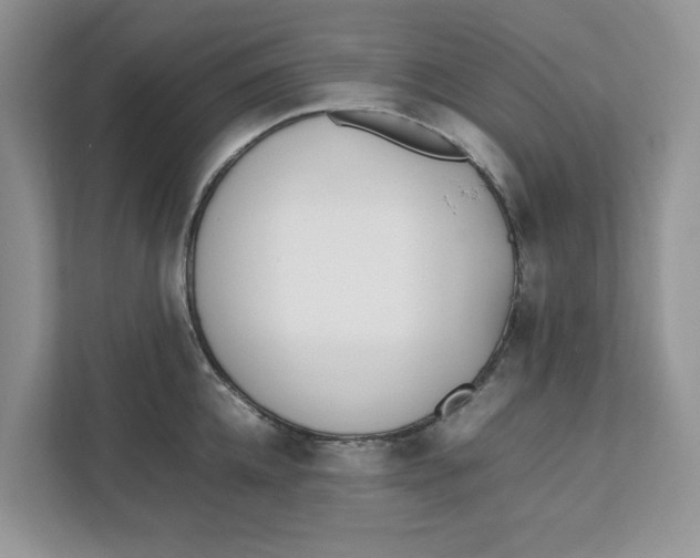 X0000111850952200908131436