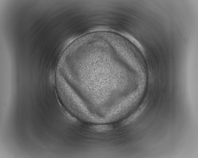 X0000111850953200908131436