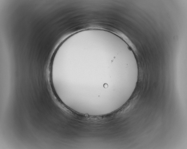 X0000111850955200908131436