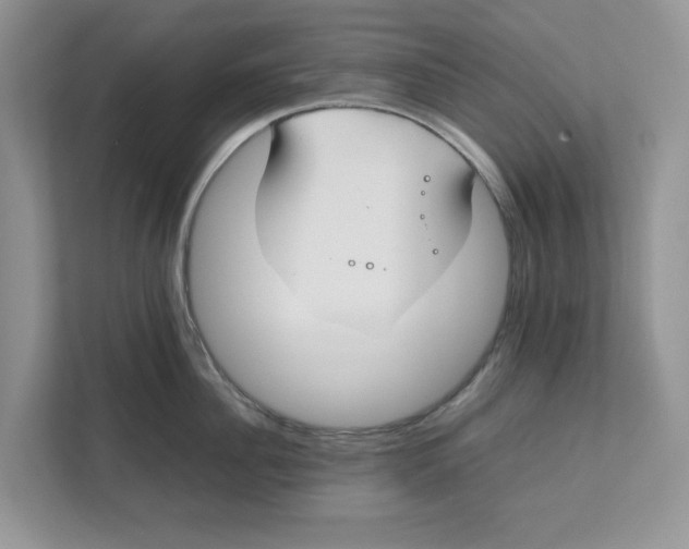 X0000111850956200908131436