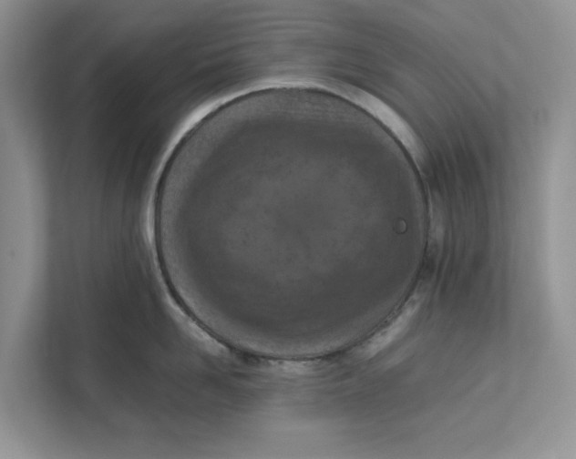 X0000111850958200908131436