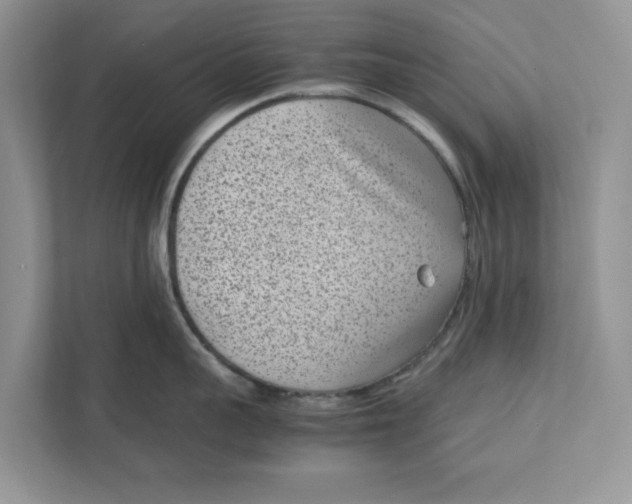 X0000111850959200908131436