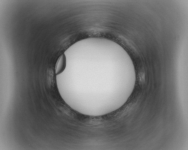 X0000111850964200908131436