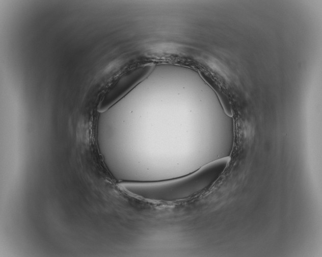 X0000111850965200908131436