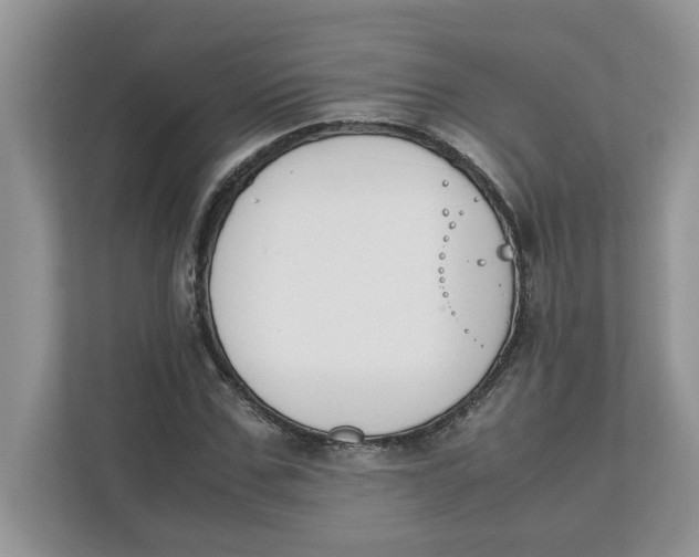 X0000111850971200908131435