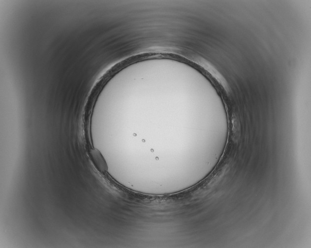 X0000111850972200908131435