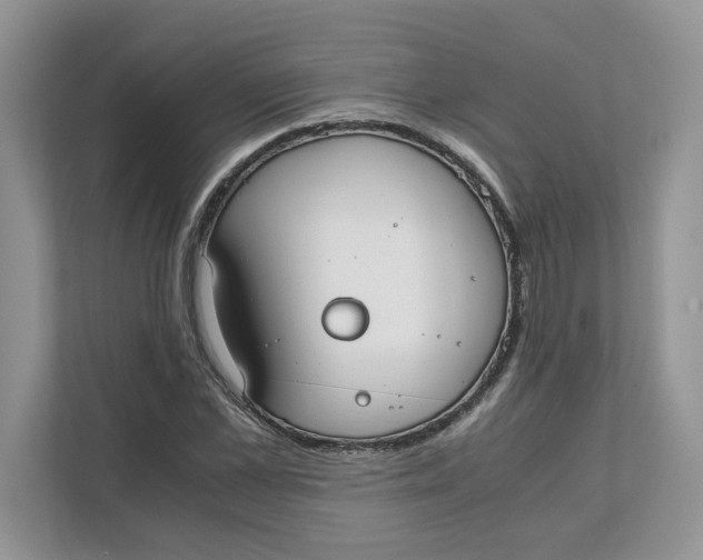 X0000111850973200908131435