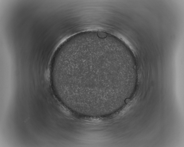 X0000111850975200908131435