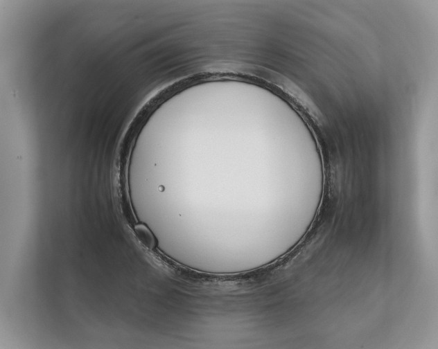 X0000111850976200908131435