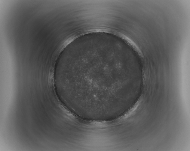 X0000111850977200908131435