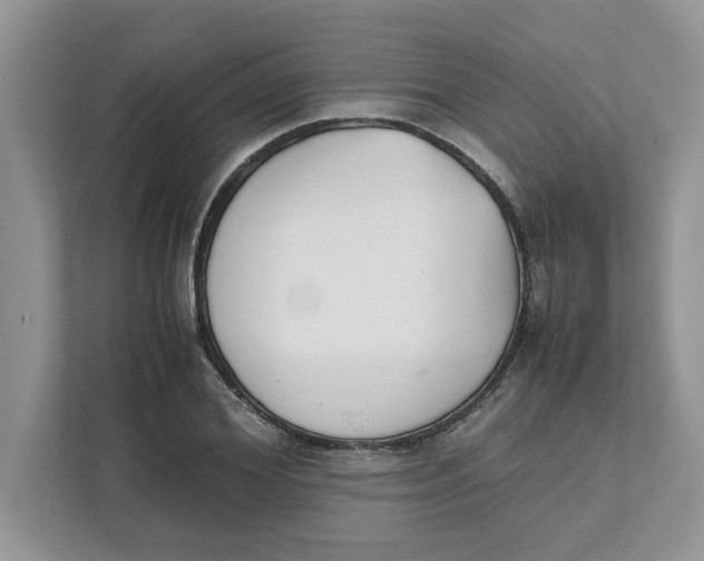 X0000111850980200908131435