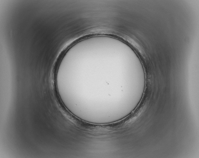 X0000111850981200908131435