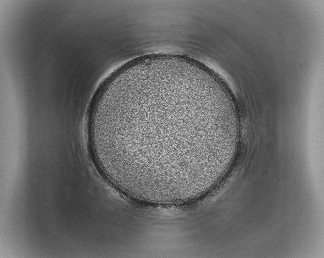 X0000111850983200908131435