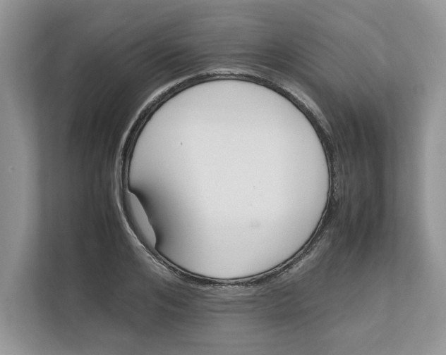 X0000111850984200908131435