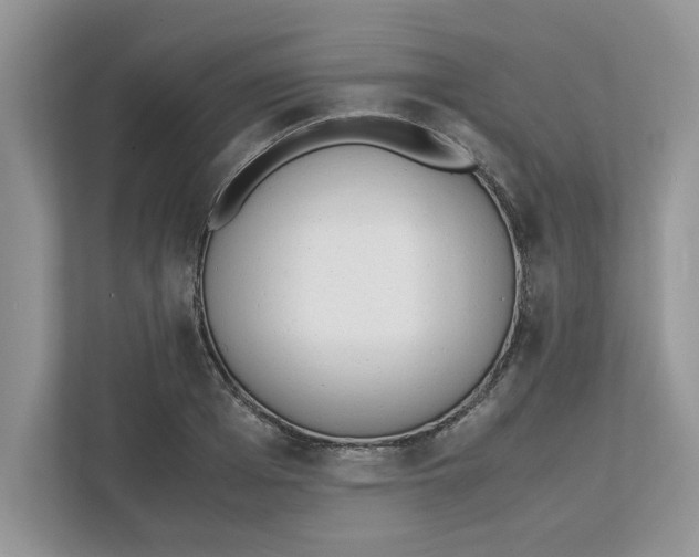 X0000111850985200908131435