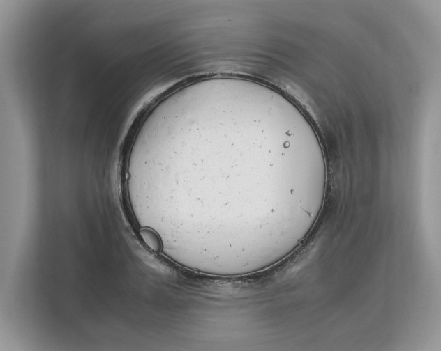 X0000111850987200908131435