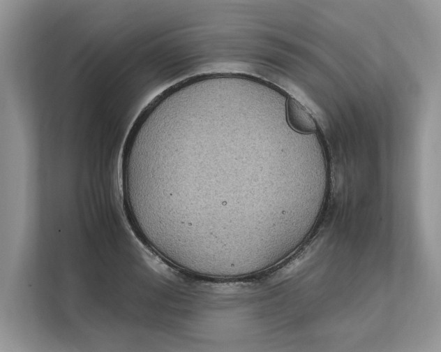 X0000111850988200908131435