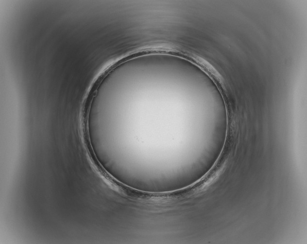 X0000111850989200908131435