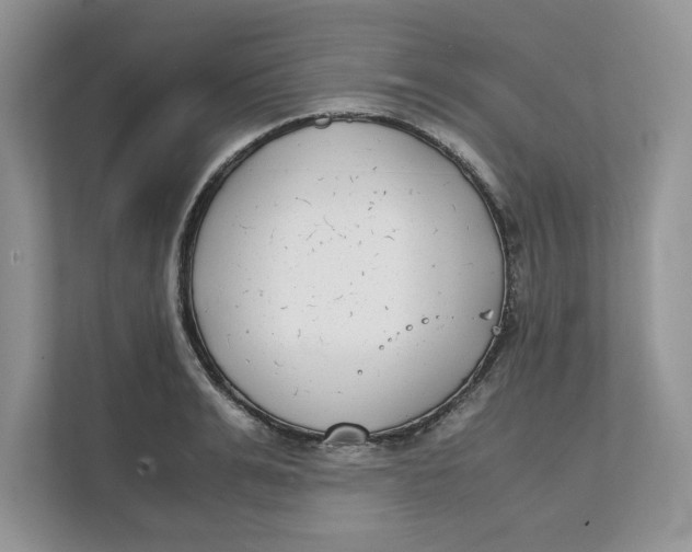 X0000111850991200908131435