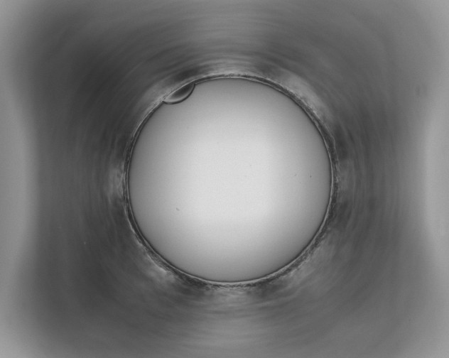 X0000111850993200908131435