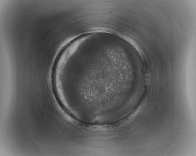 X0000111850995200908131435