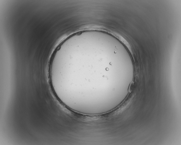 X0000111850997200908131435