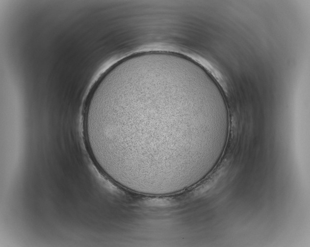 X0000111850998200908131435