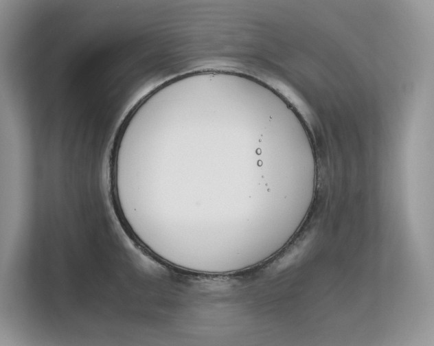 X0000111850999200908131435